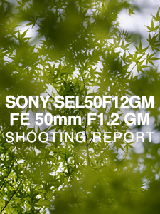 SONY SEL50F12GM FE 50mm F1.2 GM  SHOOTING REPORT