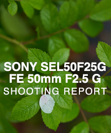SONY SEL50G25G FE 50mm F2.5 GM  SHOOTING REPORT