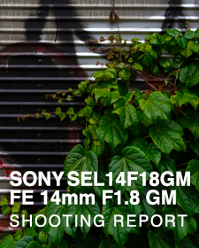 SONY SEL14F18GM FE 14mm F1.8 GM  SHOOTING REPORT
