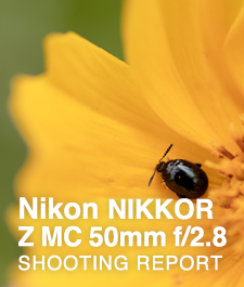 Nikon NIKKOR Z MC 50mm f/2.8  SHOOTING REPORT