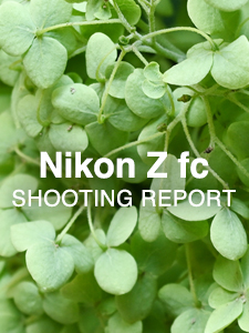 Nikon Z fc  SHOOTING REPORT