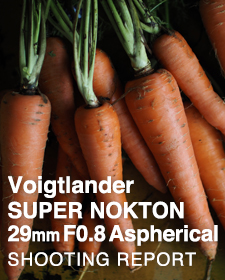 Voigtlander SUPER NOKTON 29mm F0.8 Aspherical  SHOOTING REPORT
