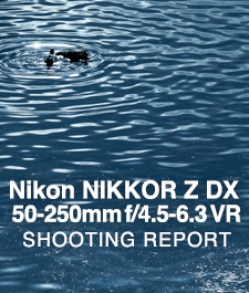 Nikon NIKKOR Z DX 50-250mm f/4.5-6.3 VR  SHOOTING REPORT