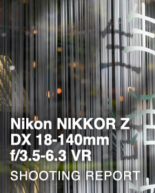 Nikon NIKKOR Z DX 18-140mm f/3.5-6.3 VR  SHOOTING REPORT