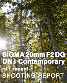 SIGMA 20mm F2 DG DN | Contemporary for L-mount  SHOOTING REPORT