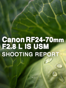 Canon RF24-70mm F2.8 L IS USM  SHOOTING REPORT