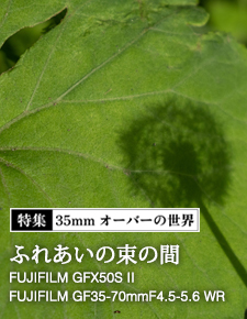 特集：35mmオーバーの世界・富士フイルム編 - (5) FUJIFILM GFX50S II × GF35-70mmF4.5-5.6 WR「ふれあいの束の間」