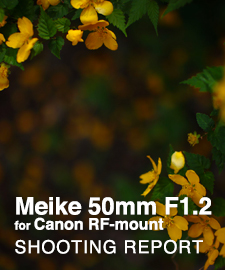 Meike 50mm F1.2 for Canon RF-mount  SHOOTING REPORT