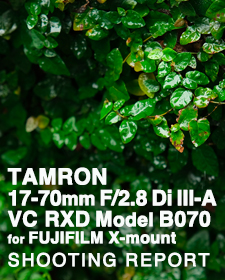 TAMRON 17-70mm F/2.8 Di III-A VC RXD Model B070  SHOOTING REPORT