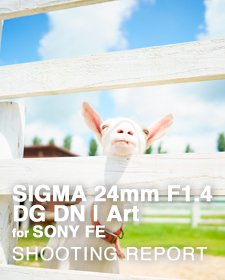 SIGMA 24mm F1.4 DG DN | Art for SONY FE  SHOOTING REPORT