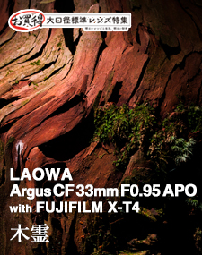LAOWA Argus CF 33mm F0.95 APO  SHOOTING REPORT vol.2 お買い得大口径標準レンズ特集 - 木霊 with FUJIFILM X-T4