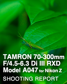 TAMRON 70-300mm F/4.5-6.3 Di III RXD Model A047 for Nikon Z SHOOTING REPORT