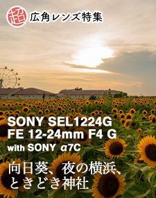 SONY SEL1224G FE 12-24mm F4 G  SHOOTING REPORT vol.2 超広角レンズ特集 - 向日葵、夜の横浜、ときどき神社 with SONY α7C