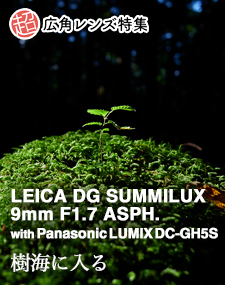 LEICA DG SUMMILUX 9mm F1.7 ASPH.  SHOOTING REPORT vol.2 超広角レンズ特集 - 樹海に入る with Panasonic LUMIX DC-GH5S
