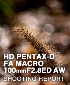 HD PENTAX-D FA MACRO 100mmF2.8ED AW  SHOOTING REPORT