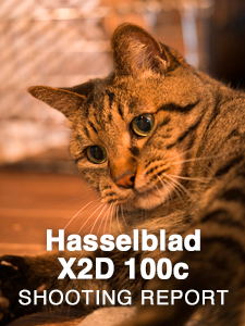Hasselblad X2D 100C  SHOOTING REPORT