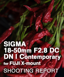 SIGMA 18-50mm F2.8 DC DN | Contemporary  SHOOTING REPORT