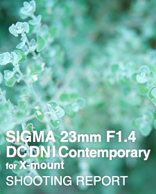 SIGMA 23mm F1.4 DC DN | Contemporary for FUJIFILM X-mount  SHOOTING REPORT