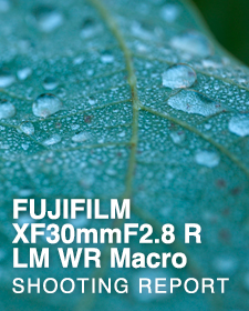 FUJIFILM XF30mmF2.8 R LM WR Macro  SHOOTING REPORT