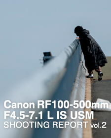 Canon RF100-500mm F4.5-7.1 L IS USM  SHOOTING REPORT Vol.2