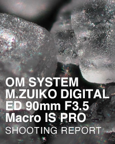 OM SYSTEM M.ZUIKO DIGITAL ED 90mm F3.5 Macro IS PRO  SHOOTING REPORT