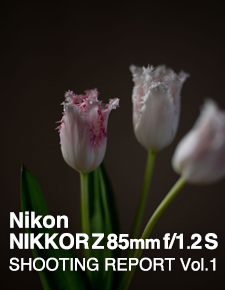 Nikon NIKKOR Z 85mm f/1.2 S  SHOOTING REPORT
