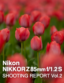 Nikon NIKKOR Z 85mm f/1.2 S  SHOOTING REPORT Vol.2