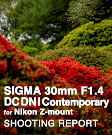 SIGMA 30mm F1.4 DC DN | Contemporary for Nikon Z-mount SHOOTING REPORT