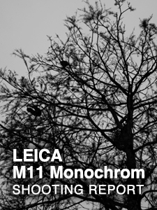 LEICA M11 Monochrom  SHOOTING REPORT