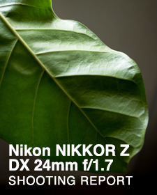 Nikon NIKKOR Z DX 24mm f/1.7  SHOOTING REPORT