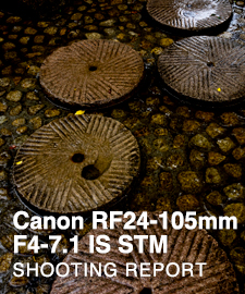 Canon RF24-105mm F4-7.1 IS STM  SHOOTING REPORT