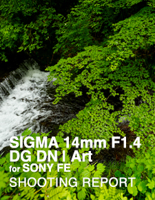 SIGMA 14mm F1.4 DG DN | Art for SONY FE  SHOOTING REPORT