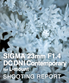 SIGMA 23mm F1.4 DC DN | Contemporary  SHOOTING REPORT
