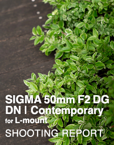 SIGMA 50mm F2 DG DN | Contemporary for L-mount  SHOOTING REPORT