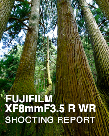 FUJIFILM XF8mmF3.5 R WR  SHOOTING REPORT