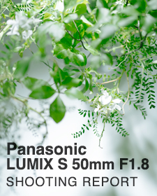 Panasonic LUMIX S 50mm F1.8  SHOOTING REPORT