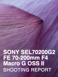 SONY SEL70200G2 FE 70-200mm F4 Macro G OSS II  SHOOTING REPORT