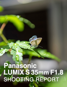 Panasonic LUMIX S 35mm F1.8  SHOOTING REPORT