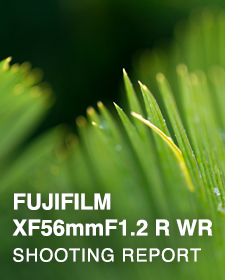 FUJIFILM FUJIFILM XF56mmF1.2 R WR  SHOOTING REPORT