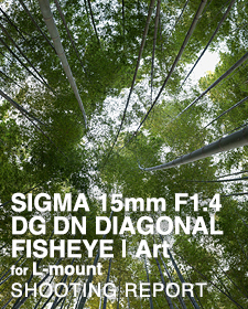 SIGMA 15mm F1.4 DG DN DIAGONAL FISHEYE | Art for L-mount  SHOOTING REPORT