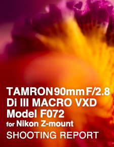 TAMRON 90mm F/2.8 Di III MACRO VXD Model F072 for Nikon Z-mount SHOOTING REPORT