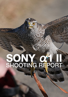 SONY α1 II  SHOOTING REPORT