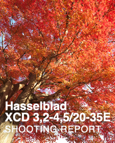 Hasselblad XCD 3,2-4,5/20-35E  SHOOTING REPORT