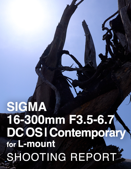 SIGMA 16-300mm F3.5-6.7 DC OS | Contemporary for L-mount  SHOOTING REPORT