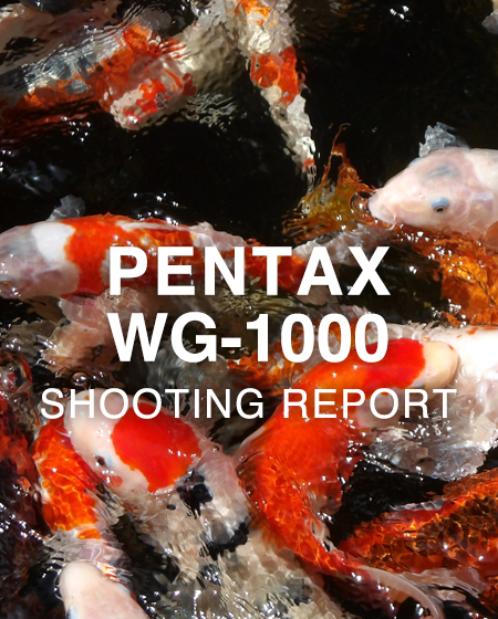 PENTAX WG-1000  SHOOTING REPORT