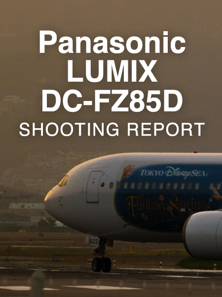 Panasonic LUMIX DC-FZ85D  SHOOTING REPORT