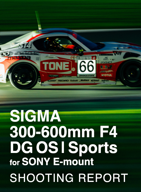 SIGMA 300-600mm F4 DG OS | Sports  SHOOTING REPORT