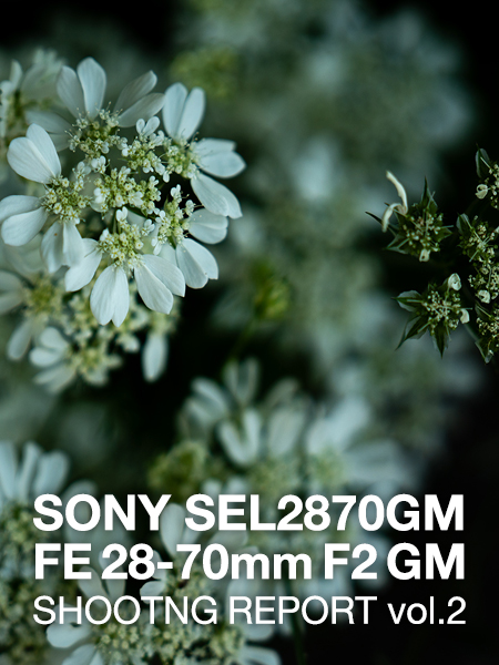 SONY SEL2870GM FE 28-70mm F2 GM  SHOOTING REPORT vol.2