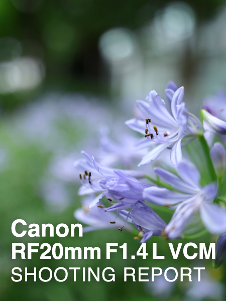 Canon RF20mm F1.4 L VCM  SHOOTING REPORT