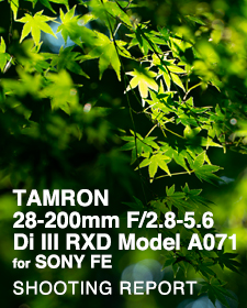 TAMRON 28-200mm F/2.8-5.6 Di III RXD Model A071 for SONY FE  SHOOTING REPORT